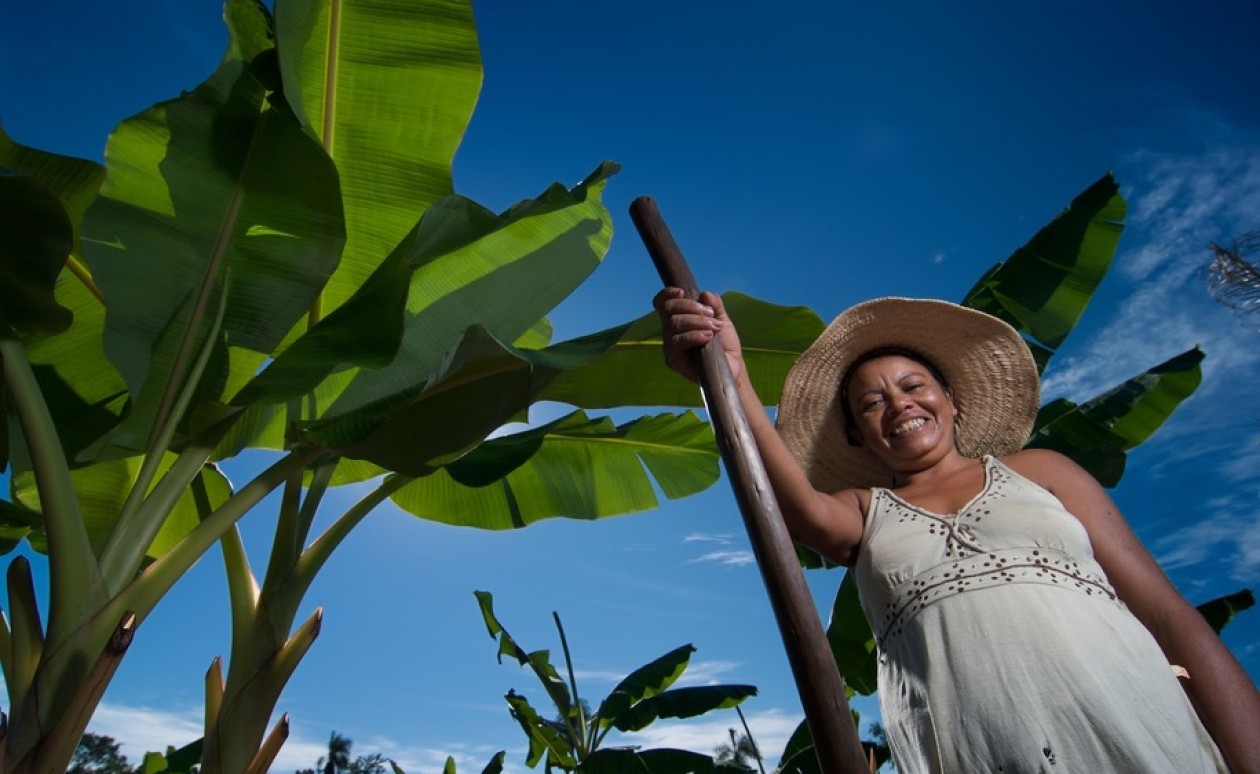 Entenda sobre o salário-maternidade rural